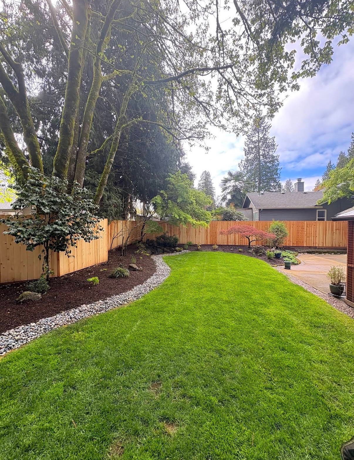 Manicured backyard lawn with river-rock border, fresh cedar fence, and Japanese maples